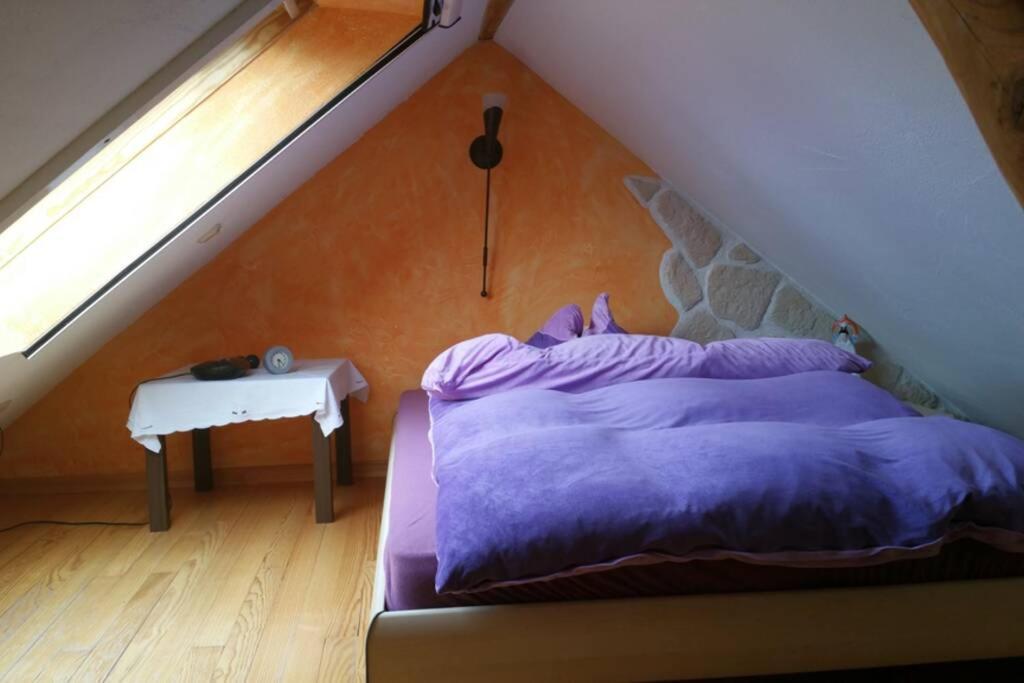 Ferienwohnung Roswitha In Blieskastel Biesingen المظهر الخارجي الصورة